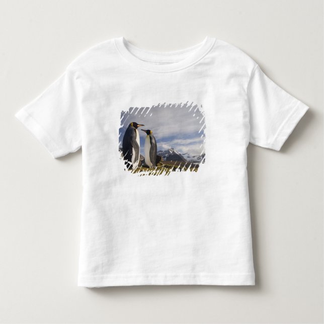 Camiseta De Bebé Antártida, Islas Georgias del Sur (Reino Unido), R (Anverso)