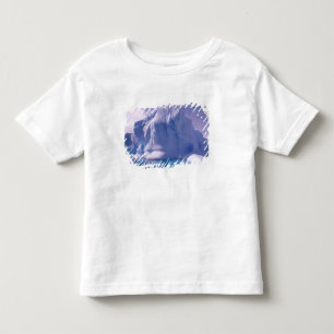 Camiseta De Bebé Antártida. Paisajes de hielo antárticos