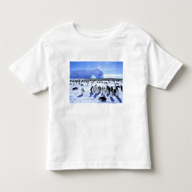 Camiseta De Bebé Antártida, Península Antártica, Mar de Weddell, 5 (Anverso)