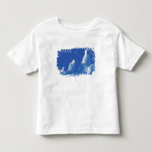 Camiseta De Bebé Antártida, Territorio Antártico Australiano.