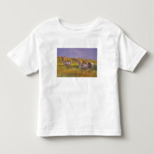 Camiseta De Bebé Antelope de Pronghorn en Montana