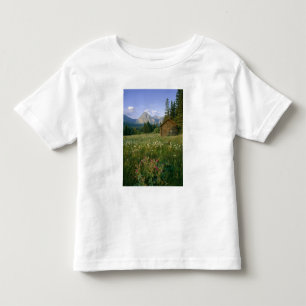 Camiseta De Bebé Antigua cabaña del Servicio de Parques en el valle