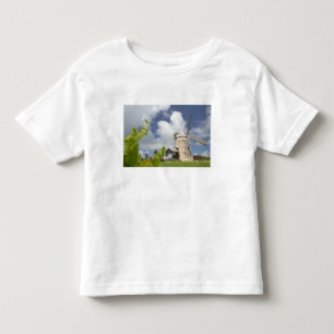 Camiseta De Bebé Antillas Francesas, Guadalupe, Marie, Galante