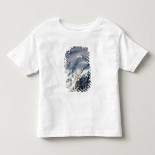 Camiseta De Bebé Aoraki Monte Cook, País de Mackenzie, Sur