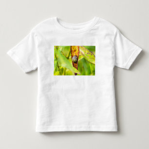 Camiseta De Bebé apego tranquilo