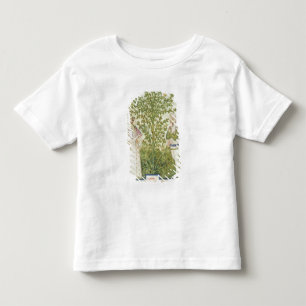 Camiseta De Bebé Apio del lat de Nouv Acq, de 'Tacuinum Sanitatis