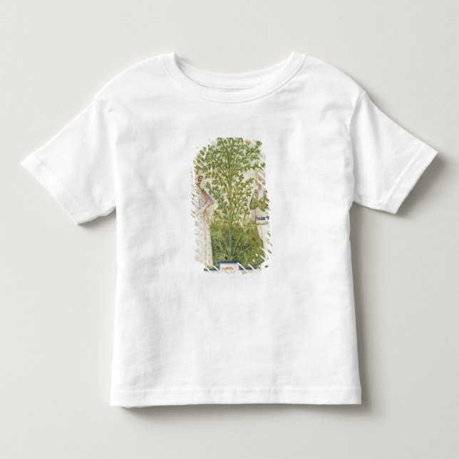 Camiseta De Bebé Apio del lat de Nouv Acq, de 'Tacuinum Sanitatis (Anverso)