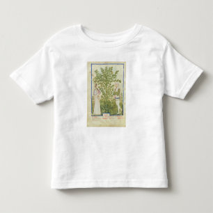 Camiseta De Bebé Apio del lat de Nouv Acq, de 'Tacuinum Sanitatis