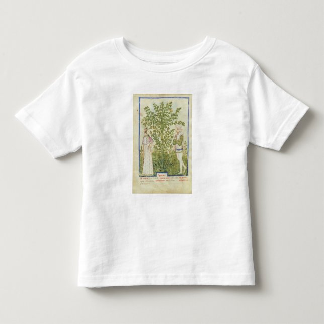 Camiseta De Bebé Apio del lat de Nouv Acq, de 'Tacuinum Sanitatis (Anverso)