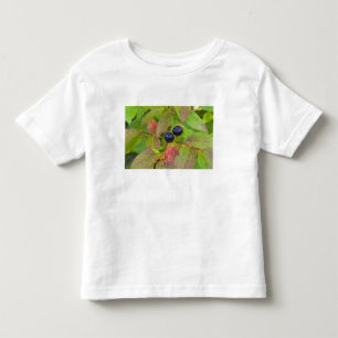 Camiseta De Bebé Arándanos maduros en el Flathead Nacional