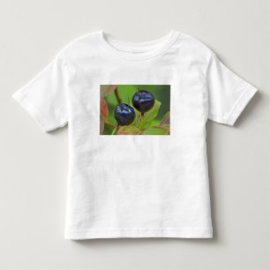 Camiseta De Bebé Arándanos maduros en el Flathead Nacional 2
