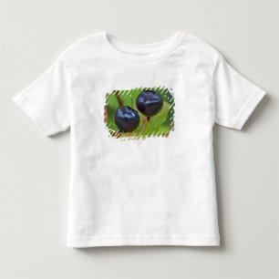 Camiseta De Bebé Arándanos maduros en el Flathead Nacional 2
