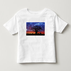 Camiseta De Bebé árbol baobab africano, Adansonia digitata, 2