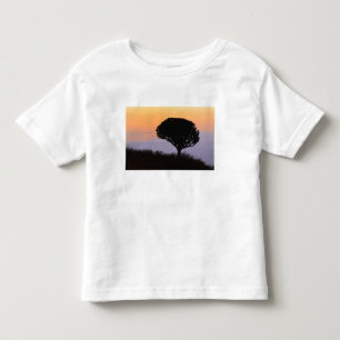 Camiseta De Bebé Árbol Candelabro silueteado al amanecer,