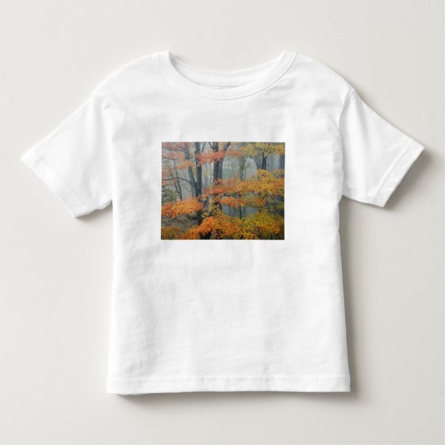 Camiseta De Bebé Árbol de arce rojo, Acer rubrum, retrato en niebla (Anverso)