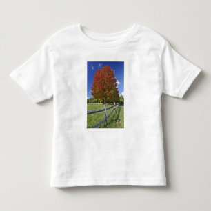 Camiseta De Bebé Árbol de arce rojo en colores de otoño, cerca de C