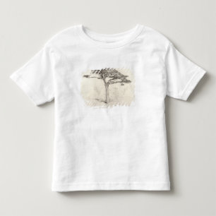 Camiseta De Bebé Árbol de cedro viejo en el jardín botánico,