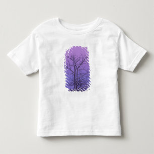 Camiseta De Bebé Árbol de dos troncos al amanecer; Condado de Chipp