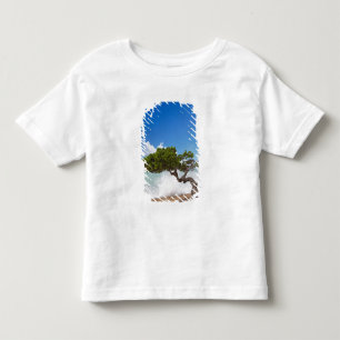 Camiseta De Bebé Árbol Divi Divi, Playa Eagle, Aruba, Caribe
