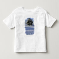 Árbol en paisaje nevado