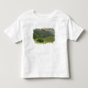 Camiseta De Bebé Árbol solitario en campo agrícola, Toscana,