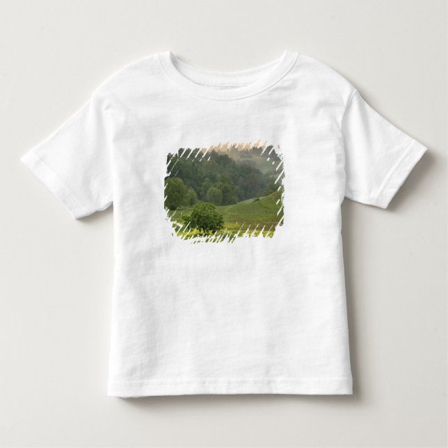 Camiseta De Bebé Árbol único en el campo agrícola, Toscana, (Anverso)
