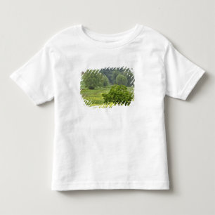 Camiseta De Bebé Árbol único en el campo agrícola, Toscana, 2
