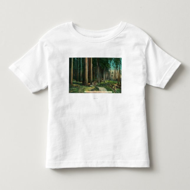 Camiseta De Bebé Arbolado SceneEugene, O (Anverso)