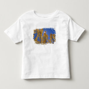 Camiseta De Bebé Arboleda de álamos en otoño en la Cordillera de Sa