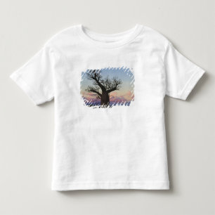 Camiseta De Bebé Árboles Baobab, Berenty, Toliara, Madagascar