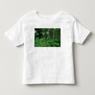 Camiseta De Bebé Árboles de abedul de plata y helechos, bosque de