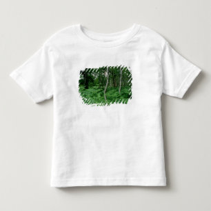 Camiseta De Bebé Árboles de abedul de plata y helechos, bosque de
