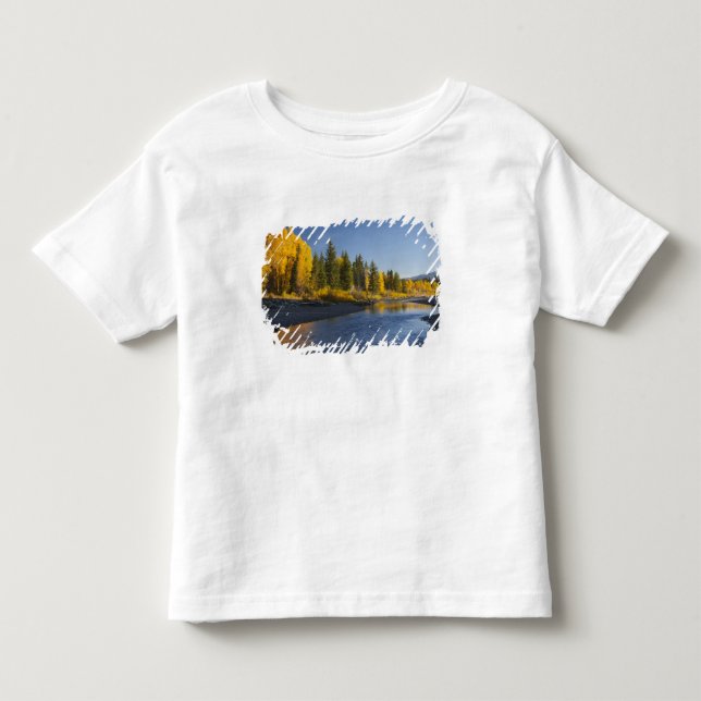 Camiseta De Bebé Árboles de algodón reflejados en Pacific Creek (Anverso)