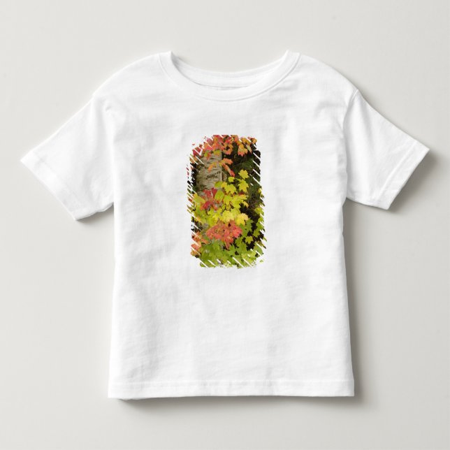 Camiseta De Bebé Árboles de arce otoñal y abedul, Blanco (Anverso)