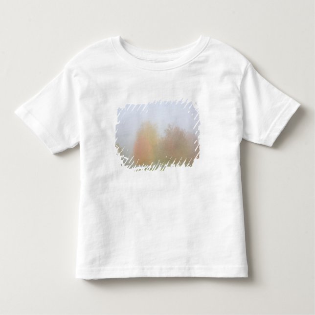 Camiseta De Bebé Árboles de la caída cubiertos en niebla (Anverso)