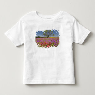 Camiseta De Bebé Árboles de mezquite de primavera creciendo en flor