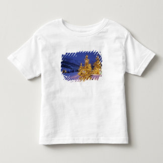 Camiseta De Bebé árboles de Navidad, Park City, Wastch Mountains,