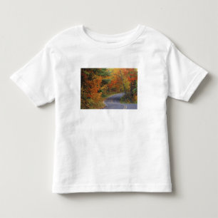 Camiseta De Bebé Árboles de otoño alinean la carretera en Itasca St