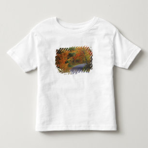 Camiseta De Bebé Árboles de otoño alinean la carretera en Itasca St