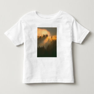 Camiseta De Bebé Árboles de secoya en niebla costera, Condado de Ma