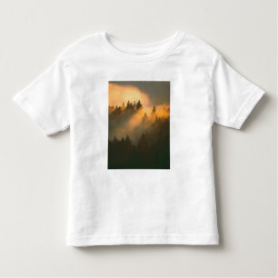 Camiseta De Bebé Árboles de secuoya en niebla costera, Condado de M