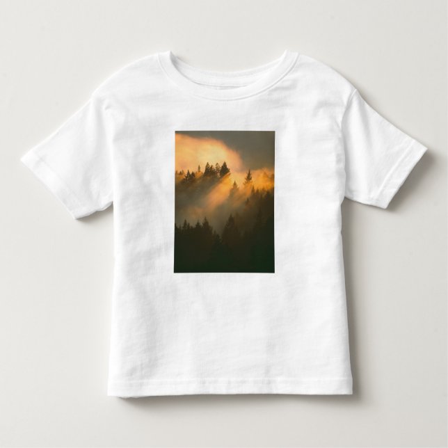 Camiseta De Bebé Árboles de secuoya en niebla costera, Condado de M (Anverso)