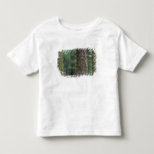 Camiseta De Bebé árboles de secuoya gigante en el bosque, Sequoia y