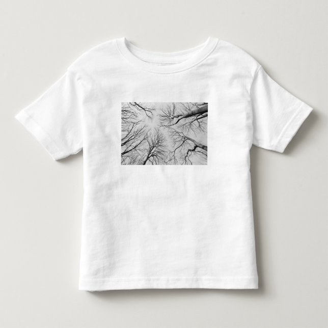 Camiseta De Bebé Árboles deshojados en la madera de Thiepval (Anverso)