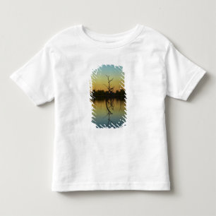 Camiseta De Bebé Árboles muertos reflejados en la laguna de Lily Cr