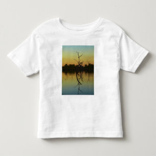 Camiseta De Bebé Árboles muertos reflejados en la laguna Lily Cree