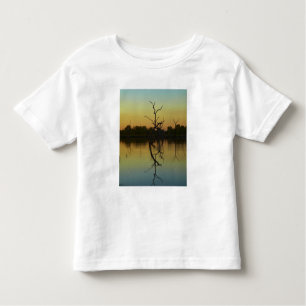 Camiseta De Bebé Árboles muertos reflejados en la laguna Lily Creek