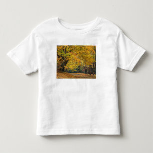 Camiseta De Bebé Arce de otoño que sobresale de un camino rural,