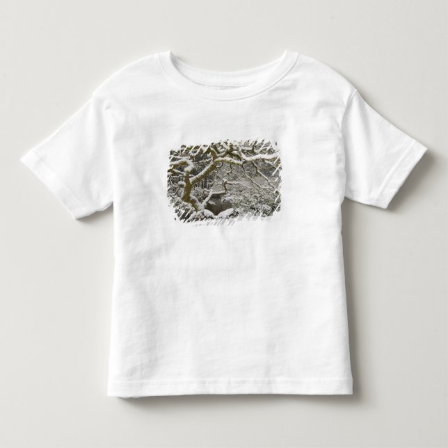 Camiseta De Bebé Arce japonés cubierto de nieve (Anverso)