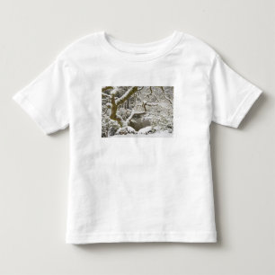 Camiseta De Bebé Arce japonés cubierto de nieve